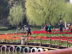 -上海鲜花港