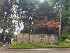 -缙云山景区