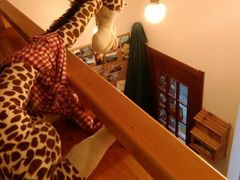 -长颈鹿咖啡(大学路店)