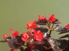 -月亮湾公园