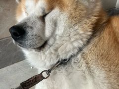 -中粮·祥云小镇