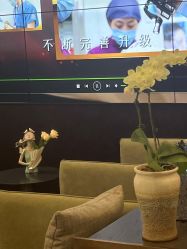 -加减美医美连锁品牌
