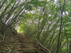 -北京密云天门山风景区