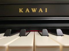 -柏斯音乐艺术中心·钢琴·吉他(世纪金源店)