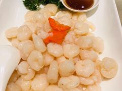 -席家花园(巨鹿花园店)