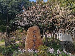 -无锡梅园公园