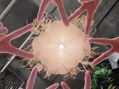 -春风十里烧烤音乐吧(实力乐队驻唱三元里店)