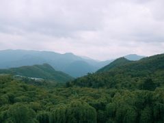 -江南天池