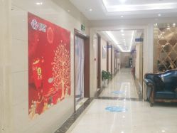 -碧莲盛·不剃发植发