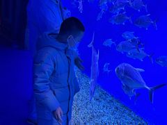 -哈尔滨波塞冬海底世界