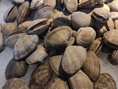 -圣罗巴海鲜烤肉自助(佳兆业店)