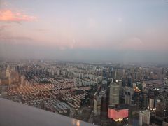 -上海柏悦酒店