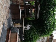 -芭东小镇温泉