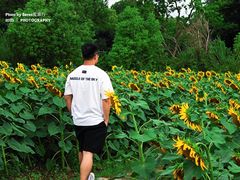 -上海杨姆庄园