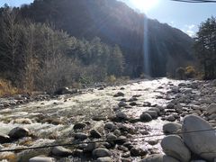 -黑河国家森林公园