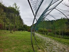 -天河潭旅游度假区