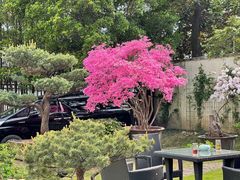 -大可堂普洱茶馆(襄阳南路馆)