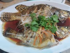 -掌勺人鱼馆(朝阳镇店)