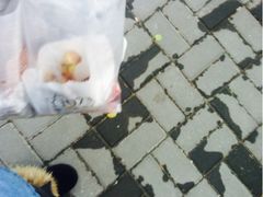 iphone_upload_pic-1973继光香香鸡(曲阳路店)