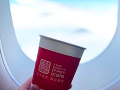-东方航空(虹桥路店)