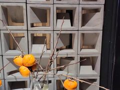 -遇见花开主题餐厅(团城山店)