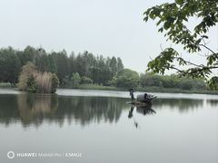 -苏州太湖国家湿地公园