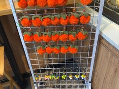 -张碗碗青海牛肉拉面(王城公园店)