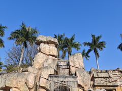 -美的鹭湖探索王国