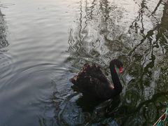 -瑞博尔花园酒店(太周创新产业园店)