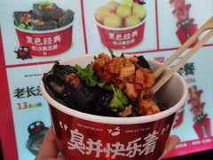 -黑色经典臭豆腐·湖南特产(步行街店)