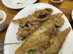 -肥弟大排档(汕樟路店)