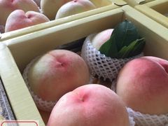 -五口灶·下饭小炒(洛社店)