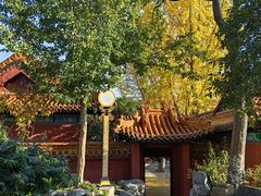 -戏马台景区