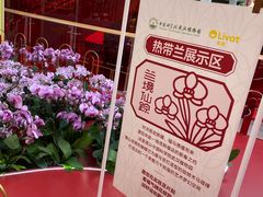 -武汉荟聚