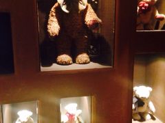 泰迪熊博物馆-济州岛泰迪熊博物馆