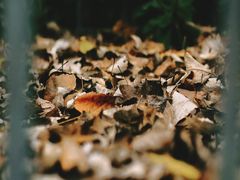-白鹭湾湿地公园
