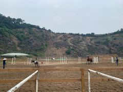 -枫露马术学院(藏书校区)
