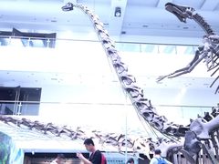-中国地质大学逸夫博物馆