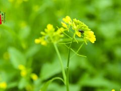 -长春公园(普阳街道)