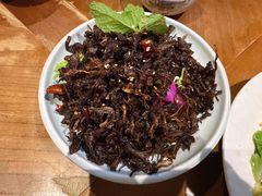 -雀舞云南菜(天津天河城购物中心店)