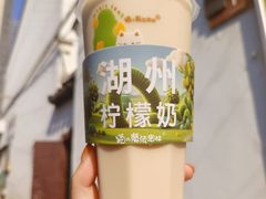 -猫的魔法密林(衣裳街店)