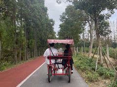 -上海长兴岛郊野公园