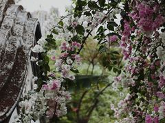 -深圳国际园林花卉博览园