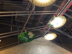 -橙天嘉禾影城(苏州印象城店)