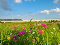 -光明小镇欢乐田园