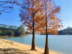 -凤岗南门山森林公园