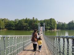 -东湖落雁景区