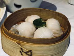 凱逸轩虾饺皇-凯逸轩·匠心粤菜(中城名仕汇店)