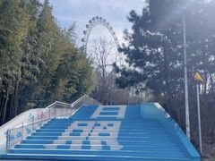 -日照海滨国家森林公园