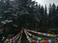 -硗碛藏寨·神木垒景区